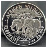 2013 AFRICAN ELEPHANT 1 OZ SILVER ROUND