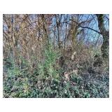 4020 LILAC AVENUE, KNOXVILLE, TN  37914