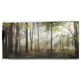 SUNS RAYS BREAKING THRU FOREST CANOPY - PHOTOGRAPH