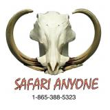 SAFARI ANYONE - AFRICAN BIG GAME SAFARI -