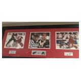 FRAMED "GOALIE FIGHT" RED WINGS VS. AVALANCHE.....