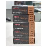 100 RDS PMC .223 REM AMMO 55 GR FMJ