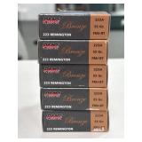 100 RDS PMC .223 REM AMMO 55 GR FMJ