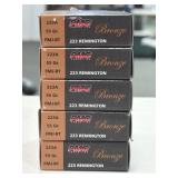 100 RDS PMC .223 REM AMMO 55 GR FMJ