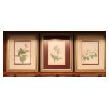 (3) P. Paal Floral Botanical Prints Framed