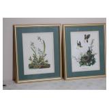 Framed Prints 17x22
