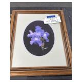 Purple Iris L Stewart from Gatlinburg