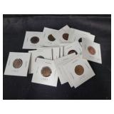 (19) ASSTD INDIAN HEAD PENNIES