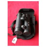 BUSHNELL 10 X 42 BINOCULARS WITH CASE