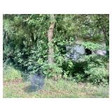 2409 BALL PLAY ROAD, MADISONVILLE, TN  37354