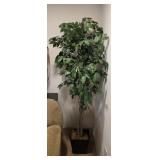 6ft Faux Ficus Tree
