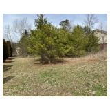 8009 CHESTNUT HILL LANE - PARCEL ID 041PA001
