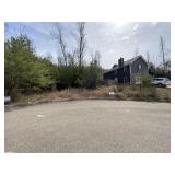 3924 HILLSIDE TERRACE LANE - PARCEL ID # 041PA026
