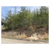 3916 HILLSIDE TERRACE LANE - PARCEL ID # 041PA028