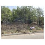 3912 HILLSIDE TERRACE LANE - PARCEL ID # 041PA029