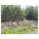 8136 CHESTNUT HILL LANE - PARCEL ID # 041PA062