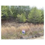 8132 CHESTNUT HILL LANE - PARCEL ID # 041PA063