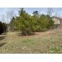 8009 CHESTNUT HILL LANE - PARCEL ID 041PA001