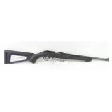 RUGER RIFLE22 WMR