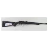 RUGER RIFLE22 WMR