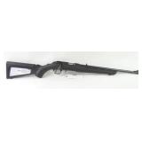 RUGER RIFLE22 WMR