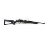 RUGER RIFLE22 WMR