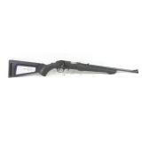 RUGER RIMFIRE