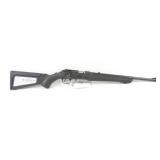 RUGER RIFLE22 WMR