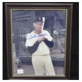 TED WILLIAMS SIGNED PHOTOGRAPH
