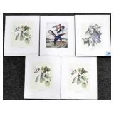 5 UNFRAMED EARL O. HENRY PRINTS