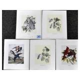 5 UNFRAMED EARL O. HENRY PRINTS