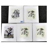 5 UNFRAMED EARL O. HENRY PRINTS