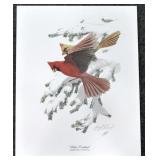 "WINTER CARDINALS" PRINT BY GUY COHELEACH
