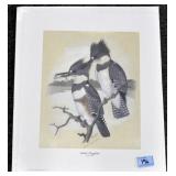 "BELTED KINGFISHER" BY EARL O. HENRY - #88/1050