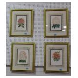 SET OF 4 FLORAL PRINTS - FRAMED AND MATTED TO MATC