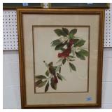 "CARDINALS ON MAGNOLIA TREE" PRINT