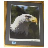 AMERICAN BALD EAGLE PHOTOGRAPH - ARTIST SIGNED