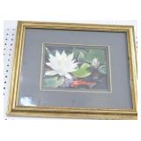 "WATER LILY" WATER COLOR