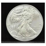 2013 SILVER EAGLE