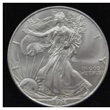 1996 SILVER EAGLE