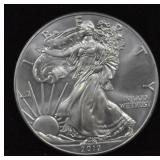 2012 SILVER EAGLE