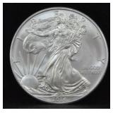 2014 SILVER EAGLE