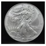 2010 SILVER EAGLE