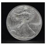 1996 SILVER EAGLE DOLLAR