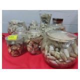 ASSORTED SEASHELLS