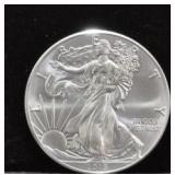 2015 SILVER EAGLE GEM