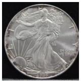1996 SILVER EAGLE