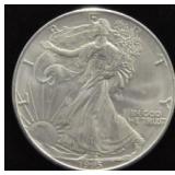 1995 SILVER EAGLE