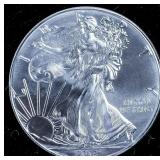 2018 SILVER EAGLE  GEM