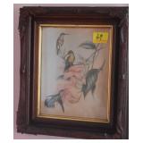 HUMMINGBIRD PRINT IN ANTIQUE WALNUT FRAME